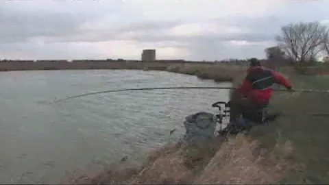 Maver 800 Competition pole test