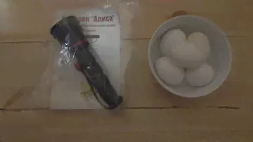 Овоскоп Алиса