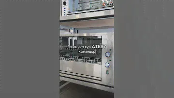 Грили для кур ATESY, Командор в наличии. Молниеносно приготовит от 12-16 кур #оборудованиедлябизнеса