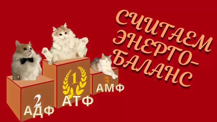Биохимия. Считаем энергетический баланс правильно. АМФ