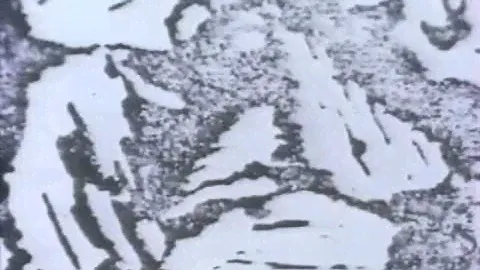Адсорбция